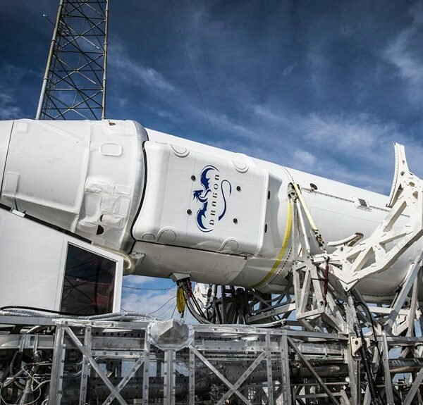 smart web engine platform identifier