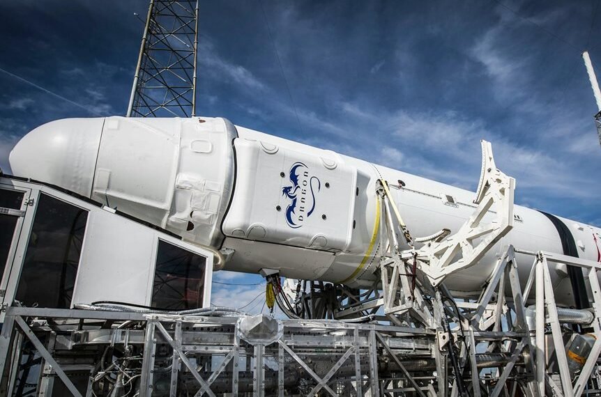 smart web engine platform identifier